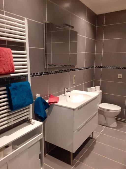 Appartement Hyper-Centre Issoire Dış mekan fotoğraf